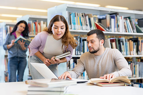 Specialized Courses